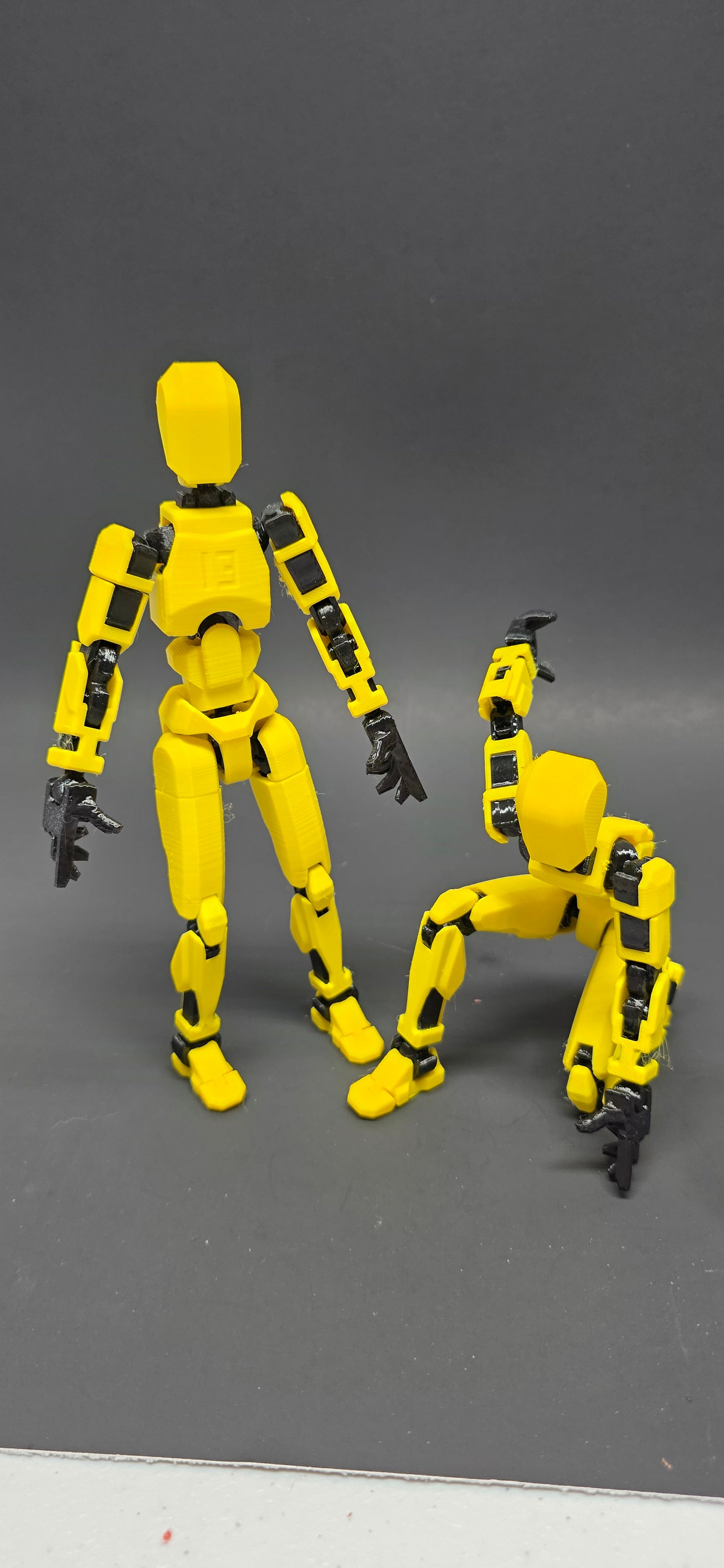 Dummy 13