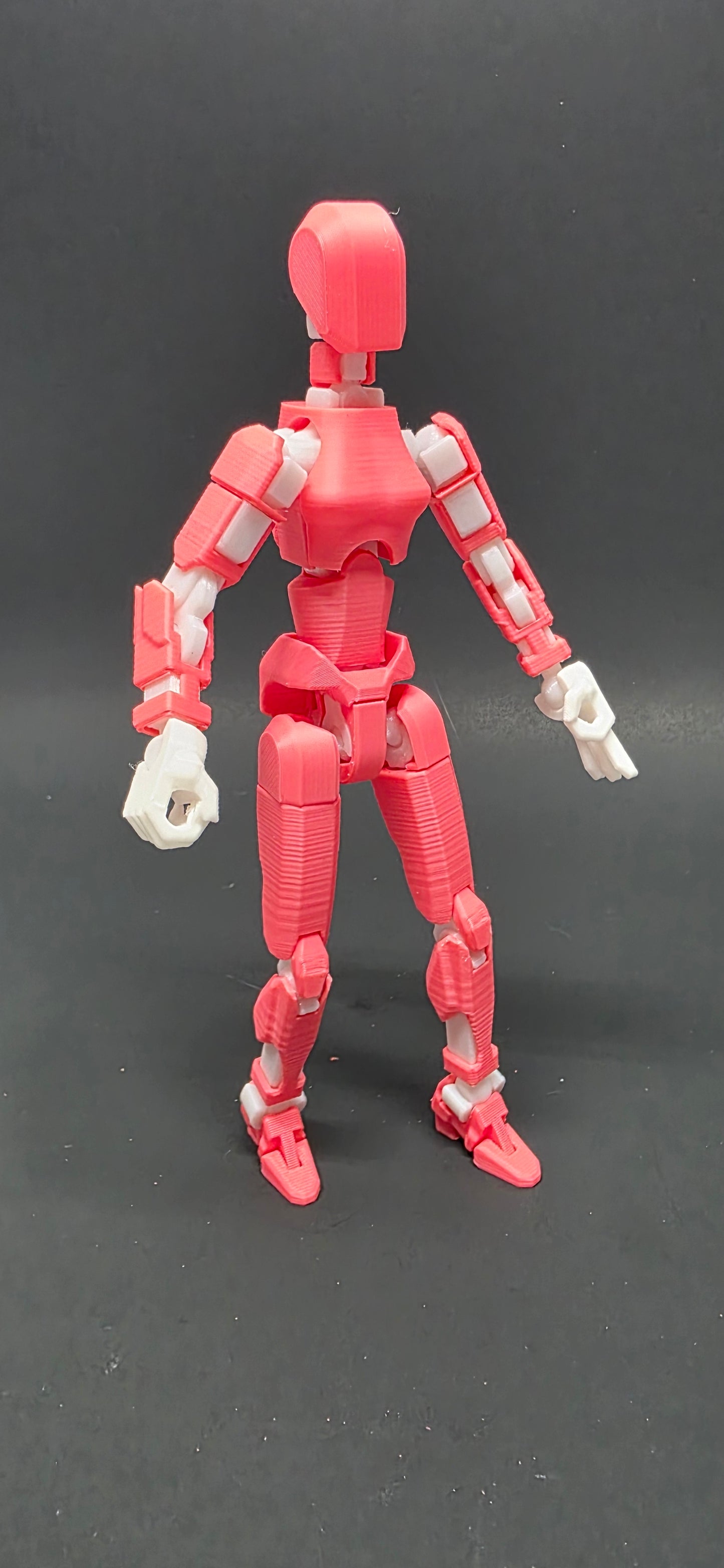 Dummy 13