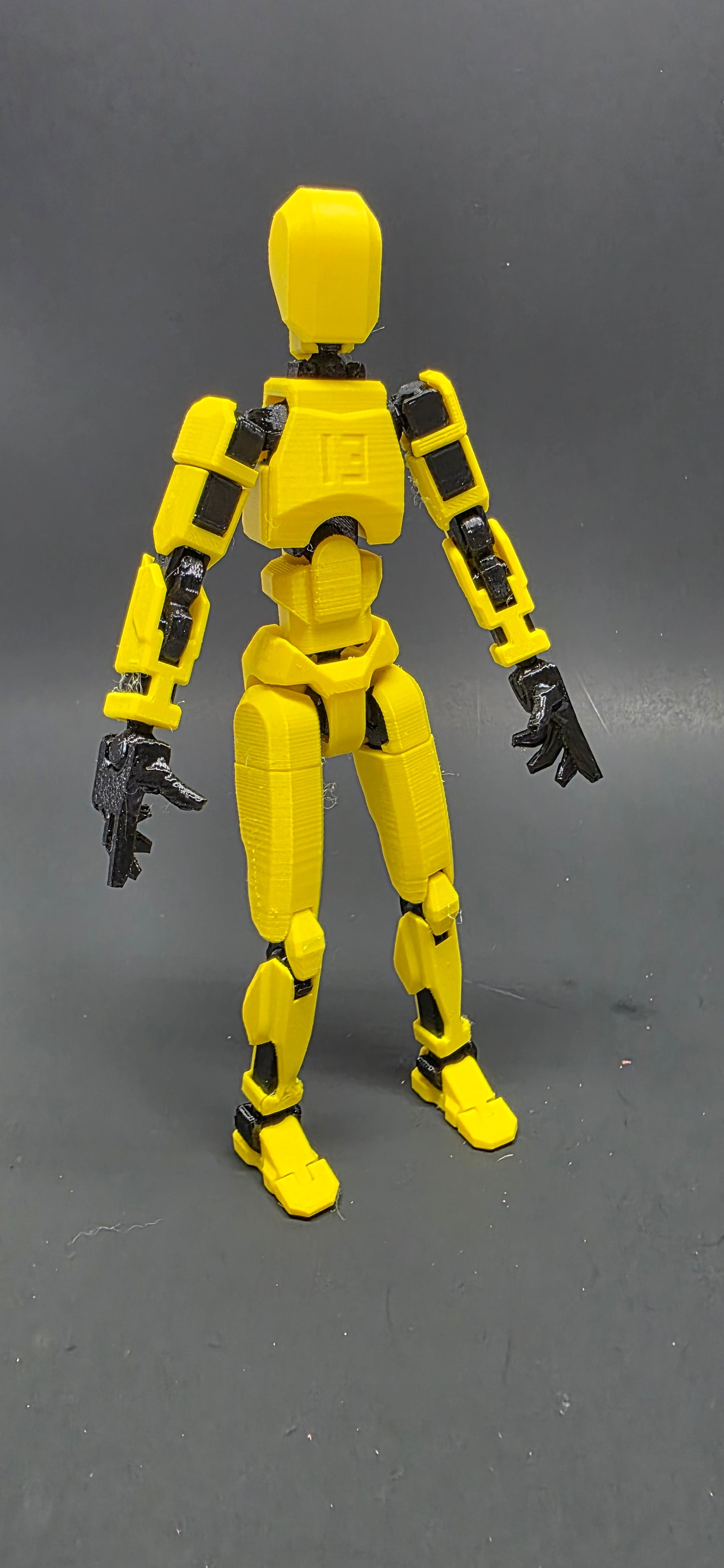 Dummy 13