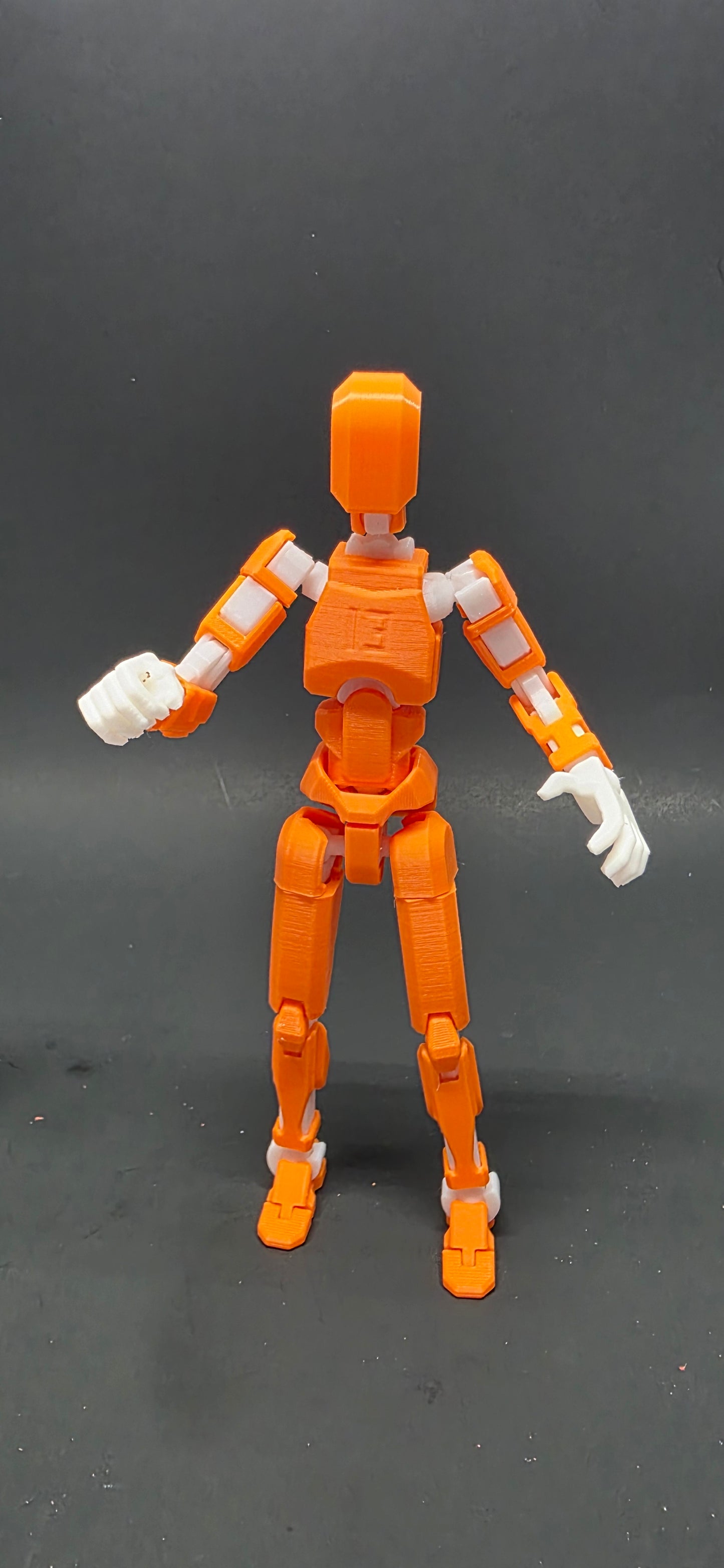 Dummy 13