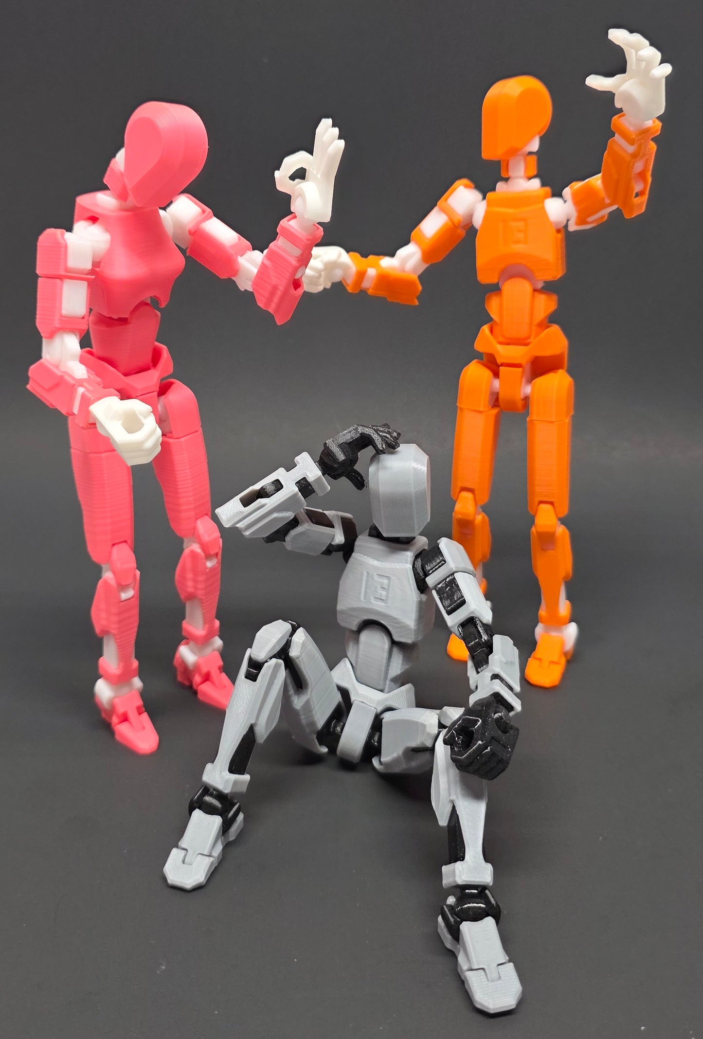 Dummy 13